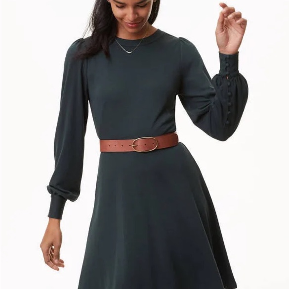 Loft Dark Green Blouson Flare Dress